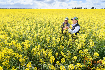 CALLAWADA_622_110920