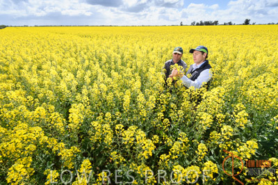 CALLAWADA_623_110920