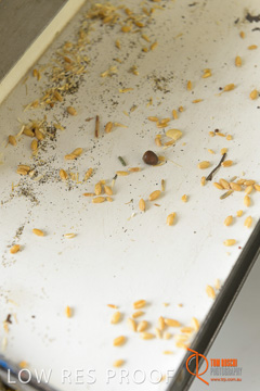 April 2015 / VITERRA_PT_ADELAIDE_0028_150429