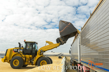 April 2015 / VITERRA_ROSEWORTHY_LOADER_0033_150429