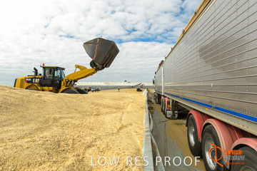 April 2015 / VITERRA_ROSEWORTHY_LOADER_0035_150429