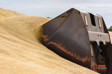 April 2015 / VITERRA_ROSEWORTHY_LOADER_0089_150429