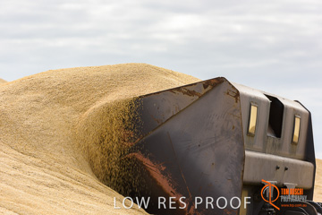 April 2015 / VITERRA_ROSEWORTHY_LOADER_0091_150429
