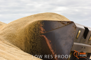 April 2015 / VITERRA_ROSEWORTHY_LOADER_0092_150429