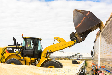 April 2015 / VITERRA_ROSEWORTHY_LOADER_0093_150429