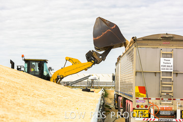 April 2015 / VITERRA_ROSEWORTHY_LOADER_0096_150429