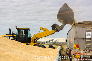 April 2015 / VITERRA_ROSEWORTHY_LOADER_0100_150429