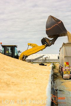 April 2015 / VITERRA_ROSEWORTHY_LOADER_0106_150429