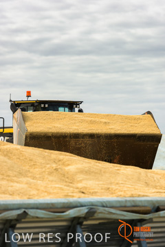 April 2015 / VITERRA_ROSEWORTHY_LOADER_0108_150429