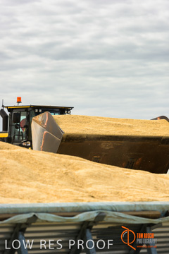 April 2015 / VITERRA_ROSEWORTHY_LOADER_0109_150429