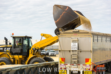 April 2015 / VITERRA_ROSEWORTHY_LOADER_0117_150429