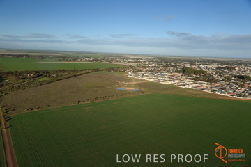 July 2015 / WALLAROO_KADINA_001_150724