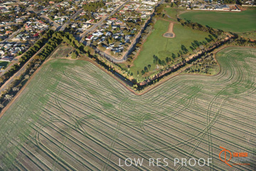 July 2015 / WALLAROO_KADINA_004_150724