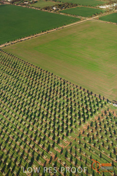 July 2015 / WALLAROO_KADINA_006_150724