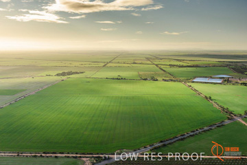 July 2015 / WALLAROO_KADINA_019_150724