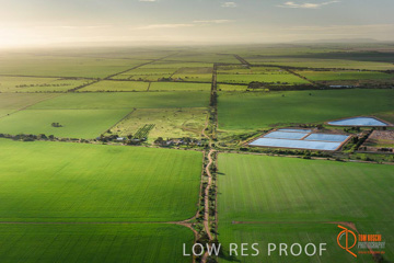 July 2015 / WALLAROO_KADINA_021_150724