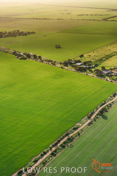 July 2015 / WALLAROO_KADINA_023_150724