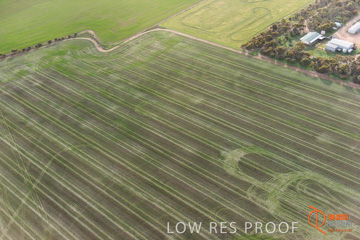 July 2015 / WALLAROO_KADINA_028_150724