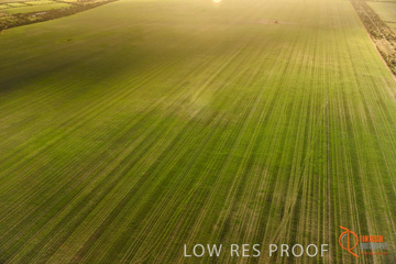 July 2015 / WALLAROO_KADINA_033_150724