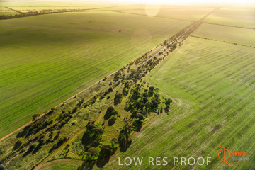 July 2015 / WALLAROO_KADINA_035_150724