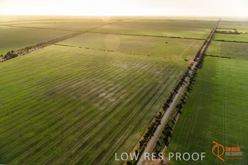 July 2015 / WALLAROO_KADINA_036_150724