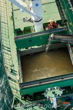 July 2015 / WALLAROO_TERNINAL_098_150724