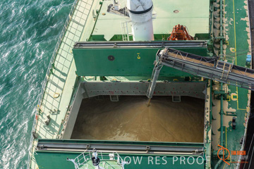 July 2015 / WALLAROO_TERNINAL_119_150724