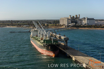 July 2015 / WALLAROO_TERNINAL_138_150724