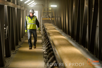 VITERRA / CONVEYOR_WALLAROO_002_150724