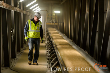 VITERRA / CONVEYOR_WALLAROO_003_150724