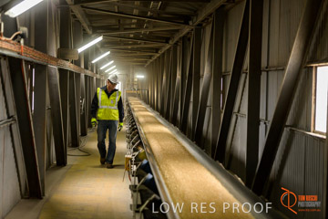 VITERRA / CONVEYOR_WALLAROO_004_150724