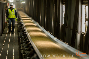 VITERRA / CONVEYOR_WALLAROO_005_150724