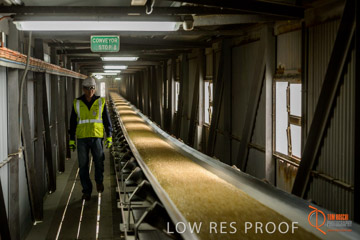 VITERRA / CONVEYOR_WALLAROO_007_150724