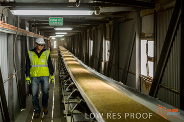 VITERRA / CONVEYOR_WALLAROO_008_150724