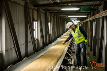 VITERRA / CONVEYOR_WALLAROO_010_150724