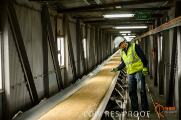 VITERRA / CONVEYOR_WALLAROO_011_150724