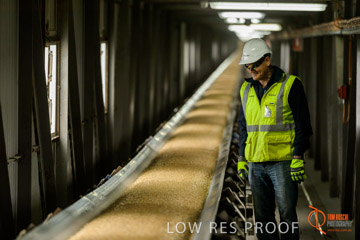 VITERRA / CONVEYOR_WALLAROO_015_150724