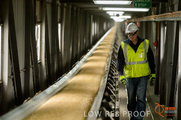 VITERRA / CONVEYOR_WALLAROO_016_150724