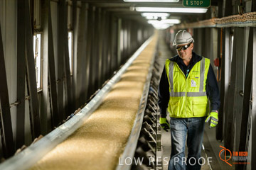 VITERRA / CONVEYOR_WALLAROO_018_150724