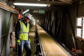 VITERRA / CONVEYOR_WALLAROO_019_150724