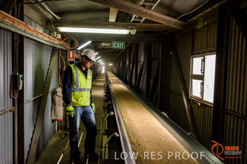 VITERRA / CONVEYOR_WALLAROO_020_150724