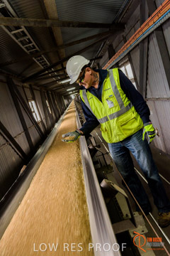 VITERRA / CONVEYOR_WALLAROO_024_150724