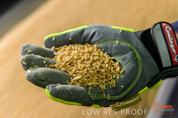 VITERRA / CONVEYOR_WALLAROO_030_150724