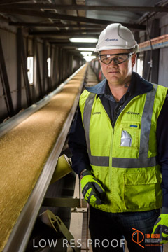 VITERRA / CONVEYOR_WALLAROO_046_150724