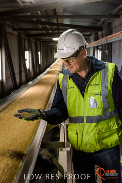 VITERRA / CONVEYOR_WALLAROO_049_150724