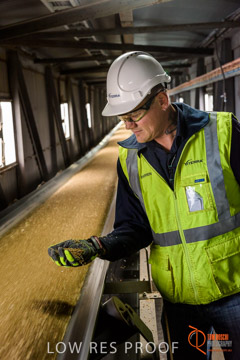 VITERRA / CONVEYOR_WALLAROO_052_150724