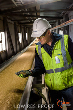 VITERRA / CONVEYOR_WALLAROO_054_150724