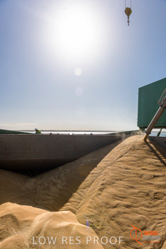 July 2015 / SHIP_LOADING_WALLAROO_015_150724