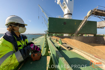 July 2015 / SHIP_LOADING_WALLAROO_020_150724