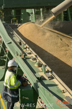 July 2015 / SHIP_LOADING_WALLAROO_026_150724